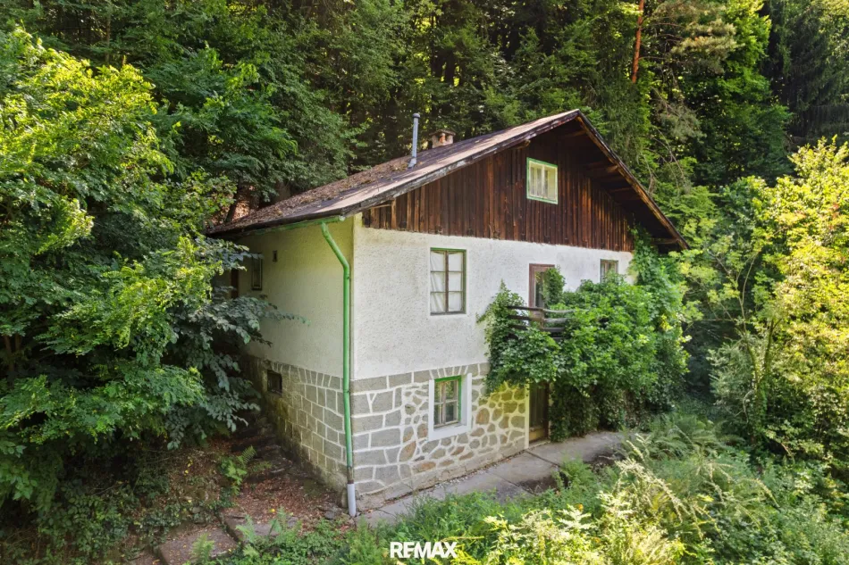 Grundstück am Dießenleitenbach – Naturidylle in Linz-Urfahr - Bild