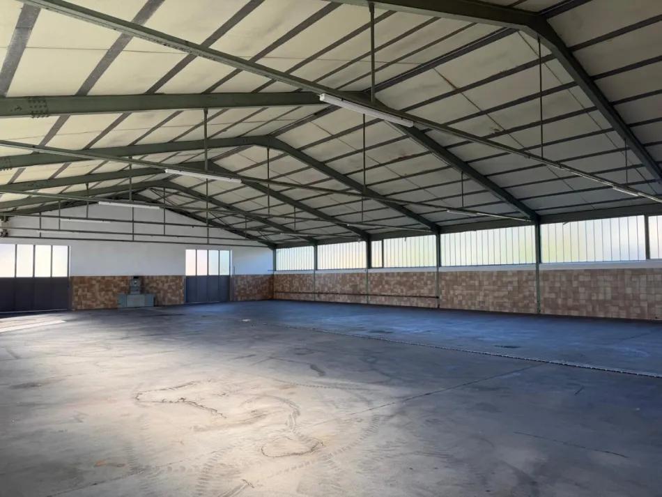 Lager- / Gewerbehalle mit 500 m² Nutzfläche in Hartberg zu vermieten – Erweiterung auf 1000 m² möglich - Bild