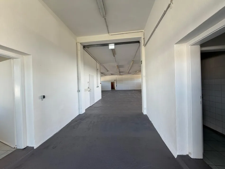 Büro- und Gewerbefläche mit 520 m² Nutzfläche in Hartberg zu vermieten - Bild