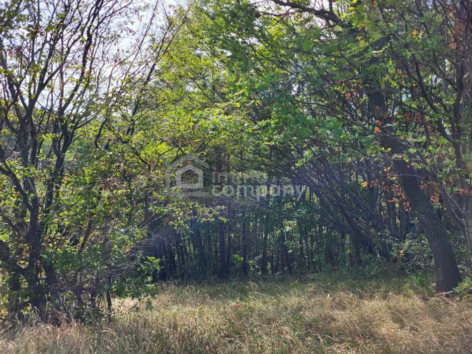 6 ha zusammenhängende Land- und Forstwirtschaft mit weitläufiger Wiesenfläche und Waldanteil - Bild