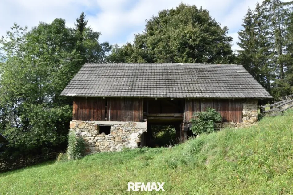 Gemütliche Berghütte mit Nebengebäude am Sonnberg bei Eisentratten mit m² 16.516 arrondierter landwirtschaftlicher Fläche, 3 Zimmer, urige kleine Terrasse, 4 Stellplätze, 290.000 € - Bild