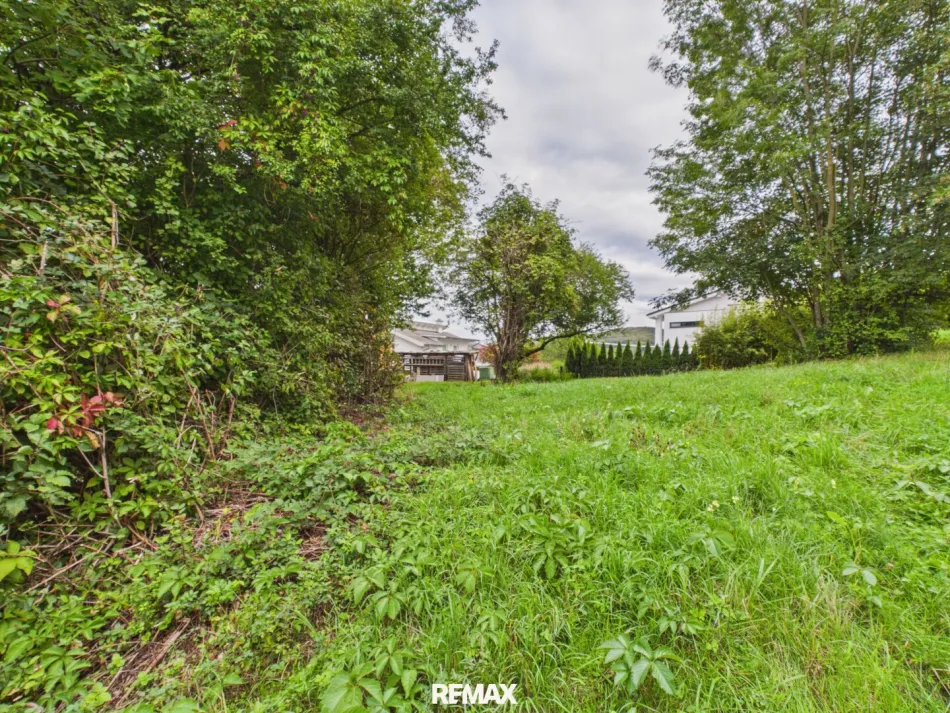 Attraktives Bauland in Pressbaum – 813m² - Bild