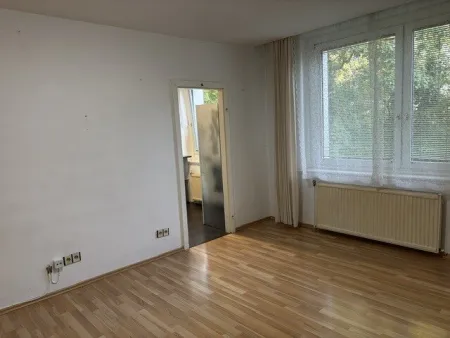 Mödling 2 Zimmer zentrale Ruhelage - Bild