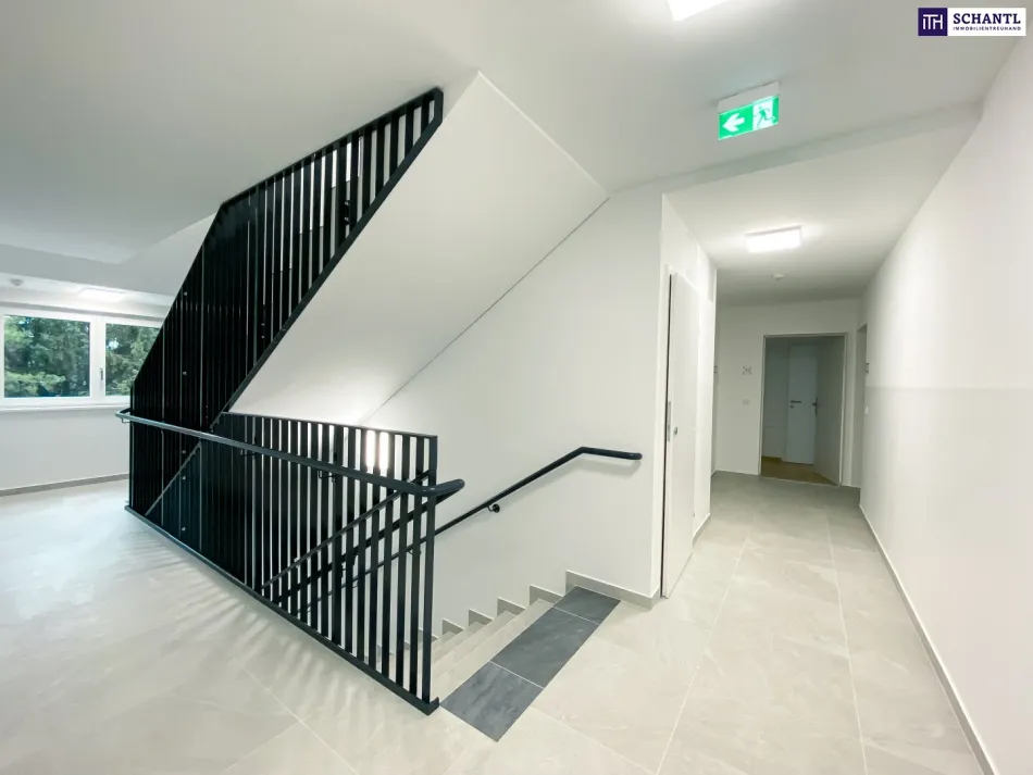 2 Zimmer mit Klimaanlage und Terrasse | Ruhelage | Badeteich Hirschstetten in Fußnähe - Bild