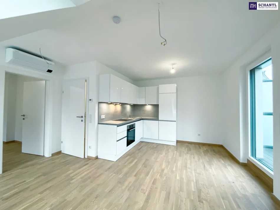 2 Zimmer mit Klimaanlage und Terrasse | Ruhelage | Badeteich Hirschstetten in Fußnähe - Titelbild