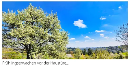 Spazieren in den Weinbergen