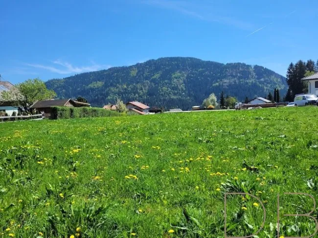 Sonniges Grundstück in St. Nikolai - Bild