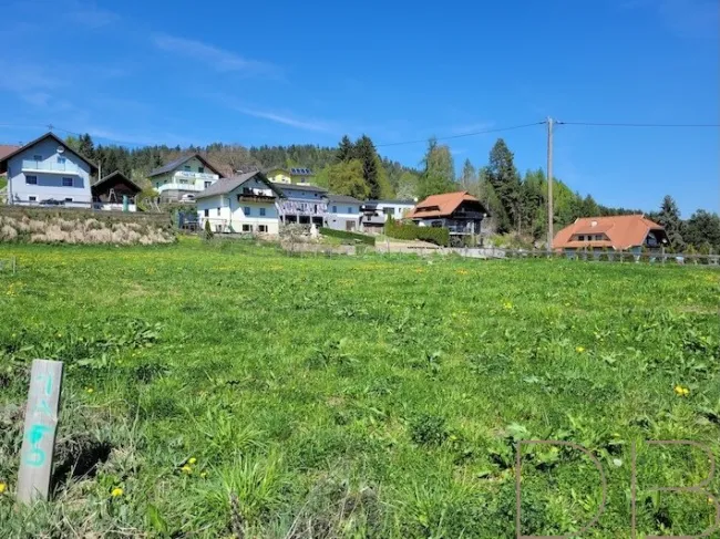 Sonniges Grundstück in St. Nikolai - Titelbild