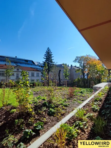 Parkblick