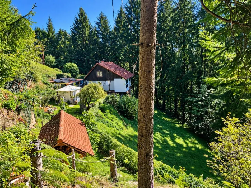 Einzigartige Liegenschaft inmitten der Natur – 7.980 m² - Titelbild