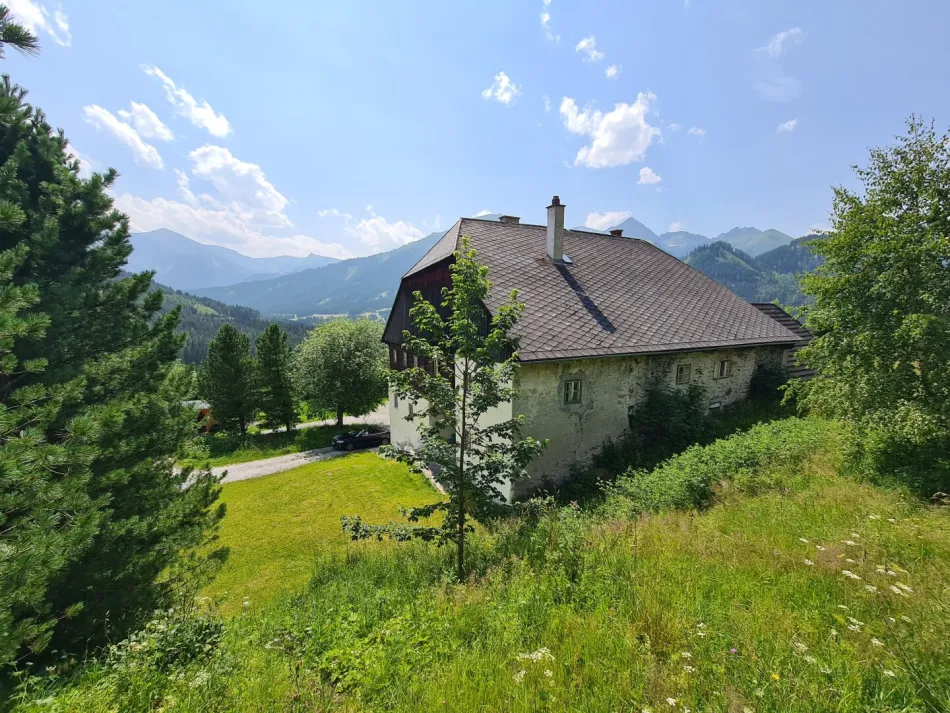 Großes, historisches Bauernhaus "Scheipplhof" 378 m² - Bild
