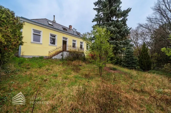 Traumhaftes Grundstück mit Einreichplanung für Mehrfamilienhaus, Nähe Baumgartner-Casino-Park - Titelbild