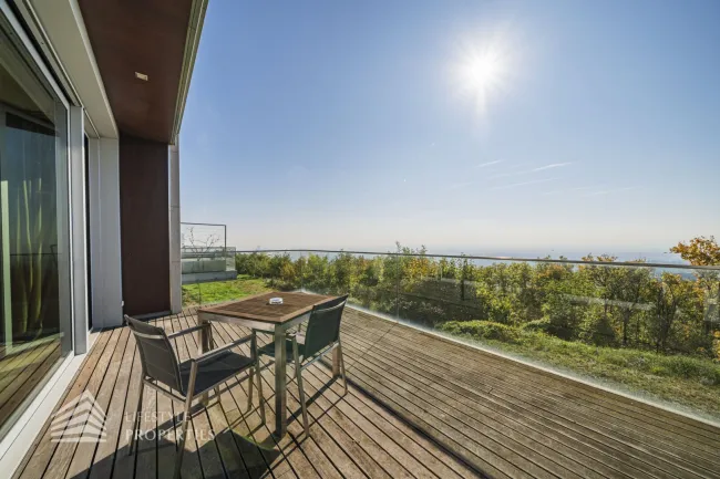 Einzigartiger Blick über Wien! Garconniere mit Terrasse am Kahlenberg - Bild