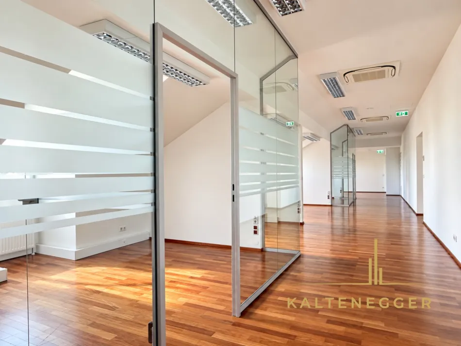 Repräsentative Bürofläche mit ca. 213 m² in Nußdorf – Klimaanlage, flexible Raumstruktur und Glasbüros - Bild