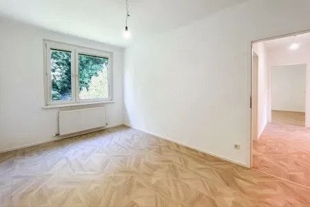 Zimmer 1