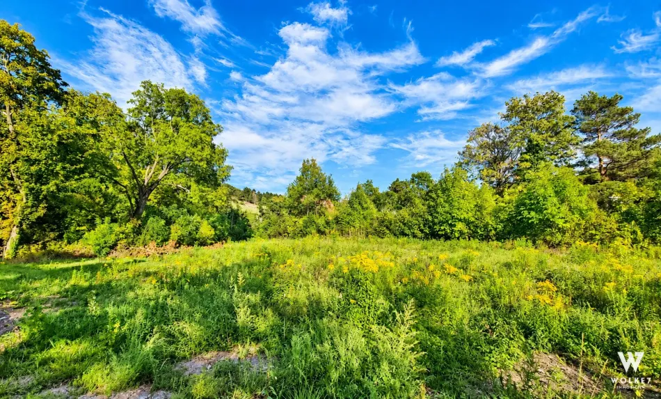 Baugrundstück in begehrter Lage in Langenzersdorf | Zentrumsnah | Unbebaut | ca. 1.042 m² | 25% Bebauungsdichte | Bauklasse I | 2 Wohneinheiten möglich - Titelbild