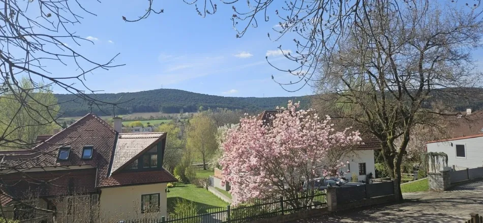 Traumhaftes Grundstück (> 2.000m²) mit Fernsicht in Markt Piesting - Doppelgarage & KG bereits vorhanden - TOP Preis - Titelbild