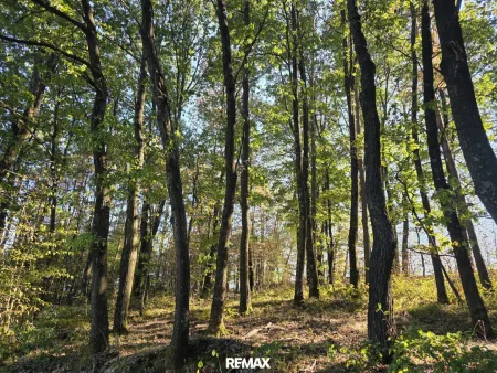 Wald
