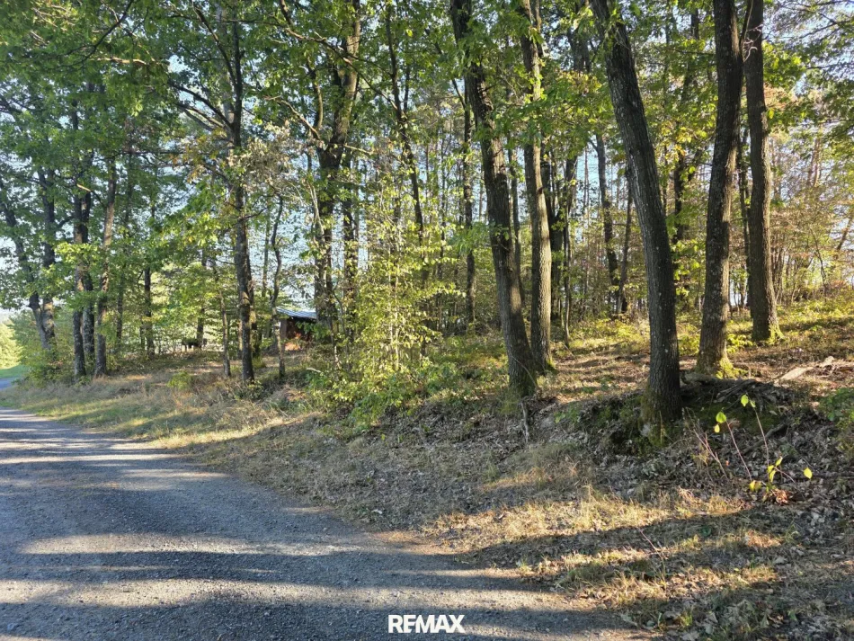 Wald