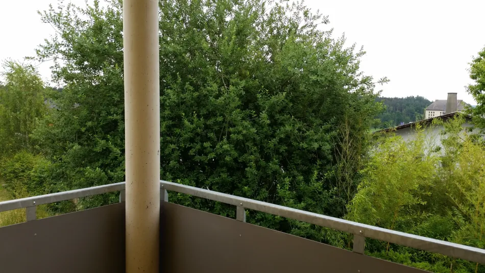 20150627_110904.jpg
