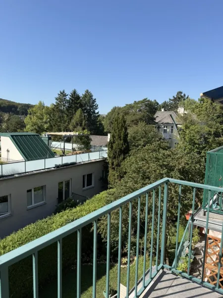 Blick von Sonnenterrasse