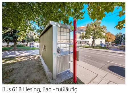 Buß 61B