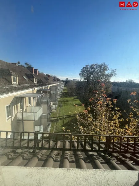 Aussicht von Fenster