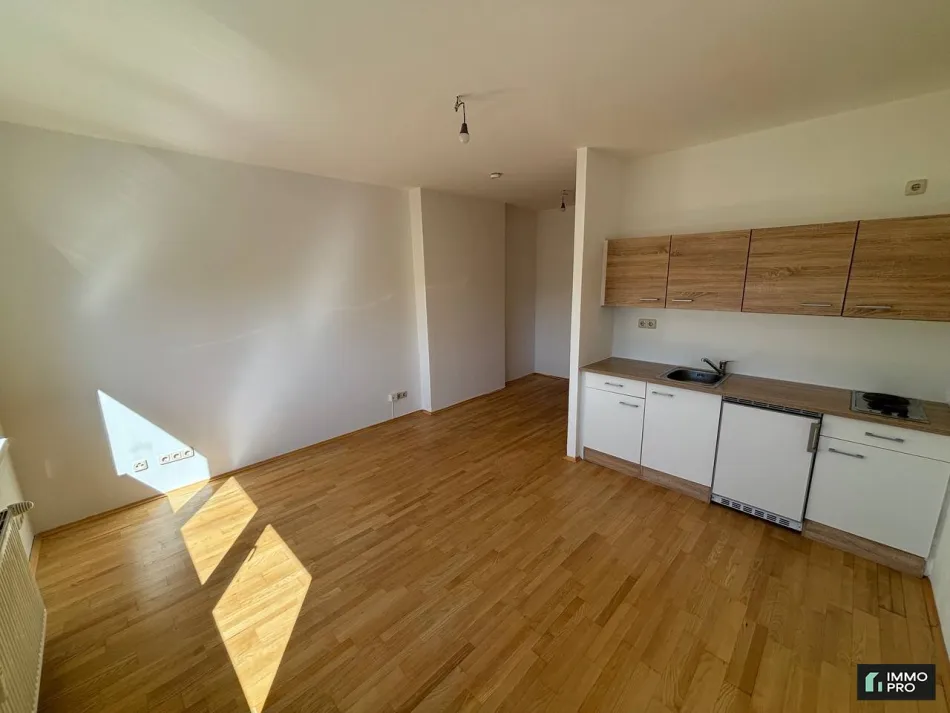 Helle 1-Zimmer Wohnung mit Einbauküche - Bild