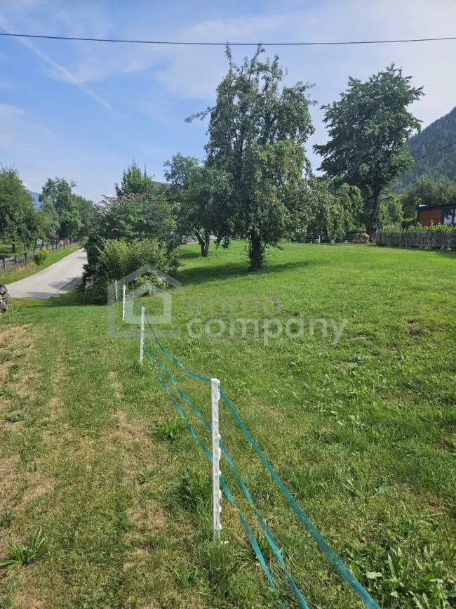 Ein Logenplatz mit Grimmingblick – 1.123 m² Grundstück in Aigen im Ennstal - Bild