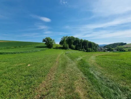 Geroldinger Panoramafeld / Brandacker