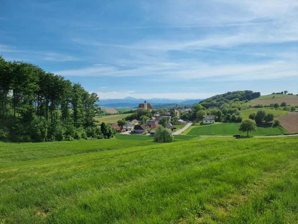 Geroldinger Panoramafeld