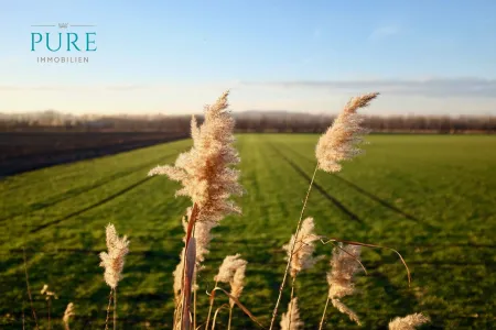 Spazierwege & Natur