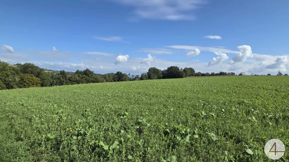Großzügiger Acker - Bild