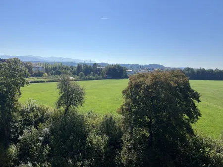 Ausblick
