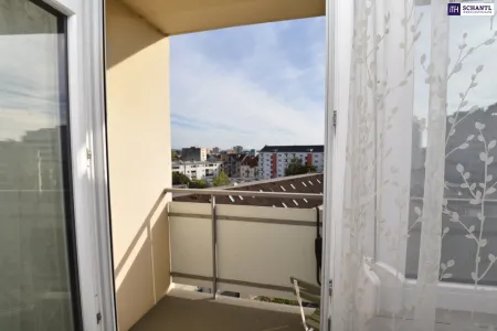 Ausblick_2