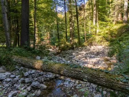 Fußläufig mitten in der Natur