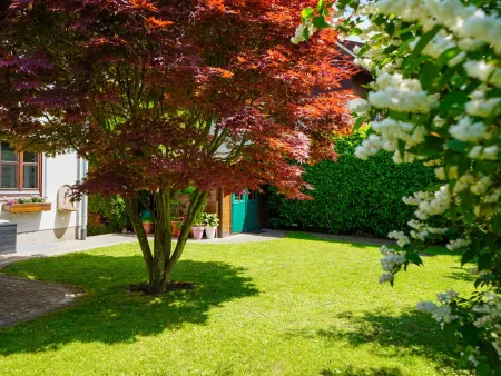 Schön angelegter Garten