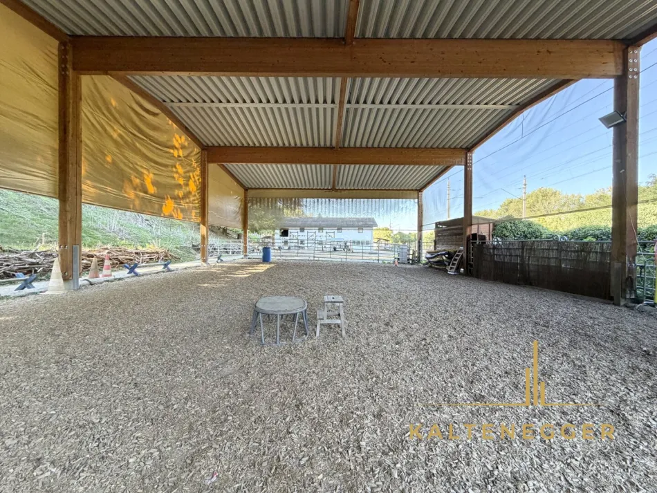 SONJAS RANCH - Pferdehof mit Teich auf Pachtgrund - Bild