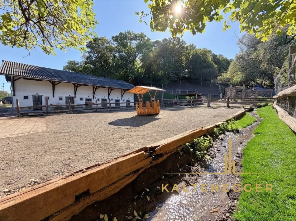 SONJAS RANCH - Pferdehof mit Teich auf Pachtgrund - Titelbild