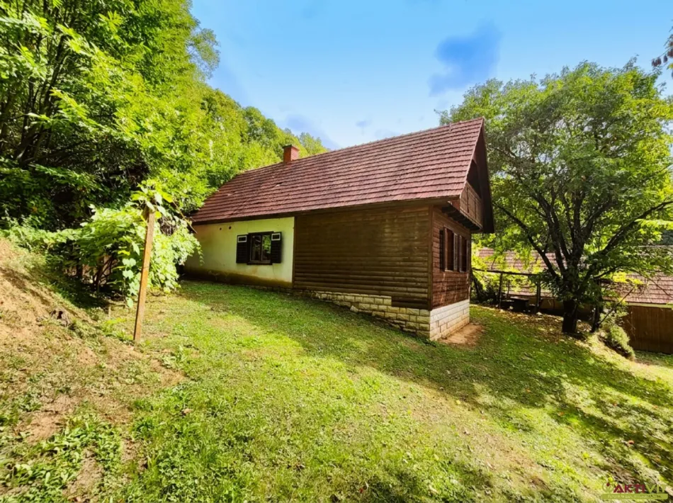 32.724 m² Naturgrundstück mit Wald, Freiflächen und Altbestand bei Sankt Anna am Aigen. - Bild