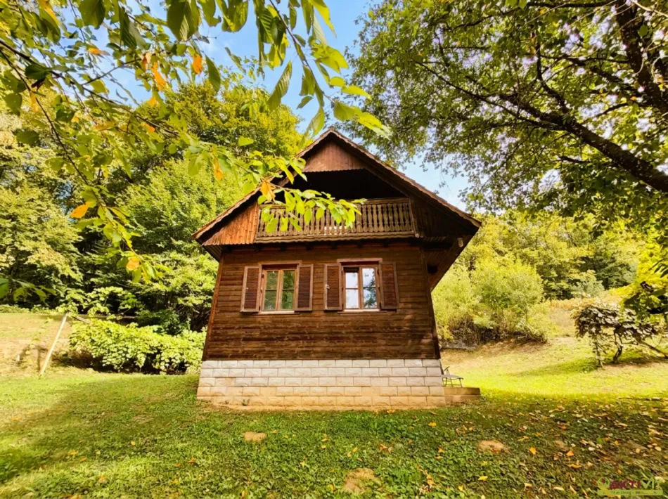 32.724 m² Naturgrundstück mit Wald, Freiflächen und Altbestand bei Sankt Anna am Aigen. - Bild