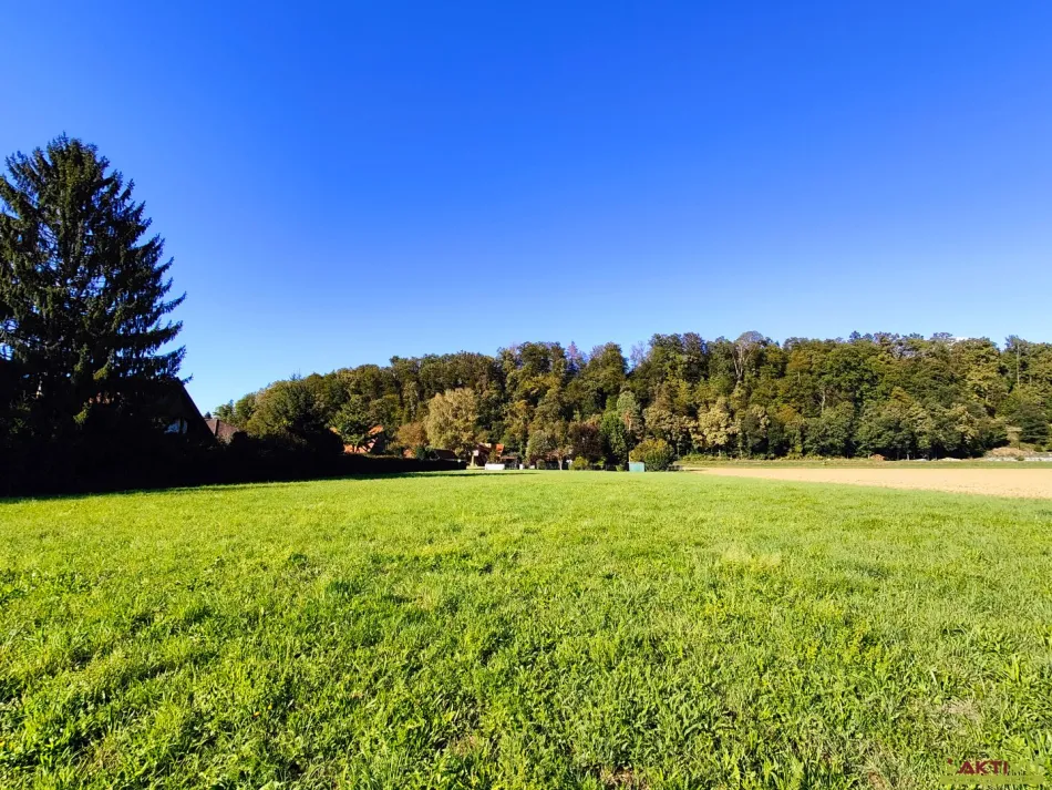 Zwei Baugrundstücke mit insgesamt 4.264 m² in ruhiger Wohnlage in Wildon. - Bild