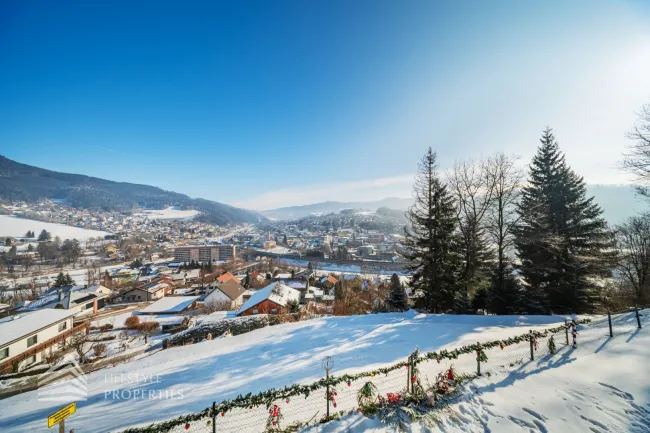 Großzügiges Bauland mit Bestand – 10.448 m² Entwicklungspotenzial in erhöhter Lage über Mürzzuschlag - Bild