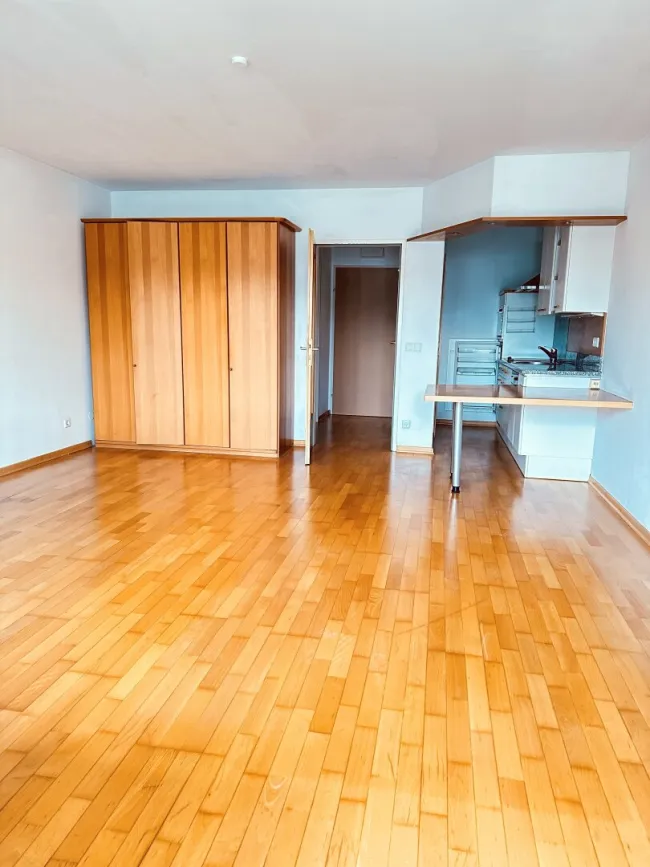 Attraktive Stadtwohnung mit Südbalkon in zentraler Salzburger Lage - Bild
