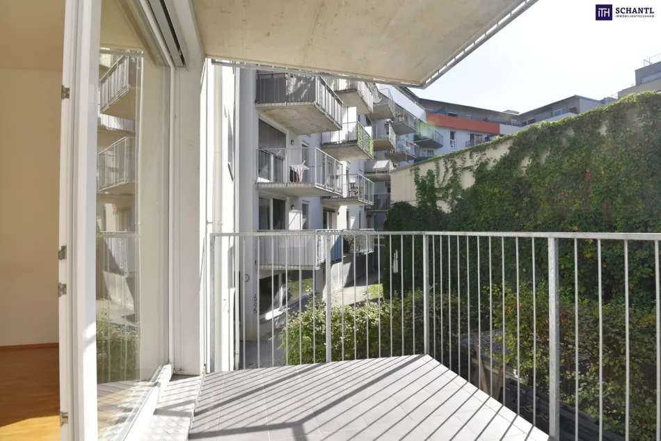 Kuschelig, zentral, sofort frei – Wohnung mit Westbalkon in Graz - Bild