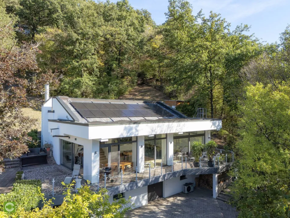 CHRISTOPH CHROMECEK IMMOBILIEN - KALTENLEUTGEBEN - Einmaliges Anwesen in Bestlage am Südhang! - Bild