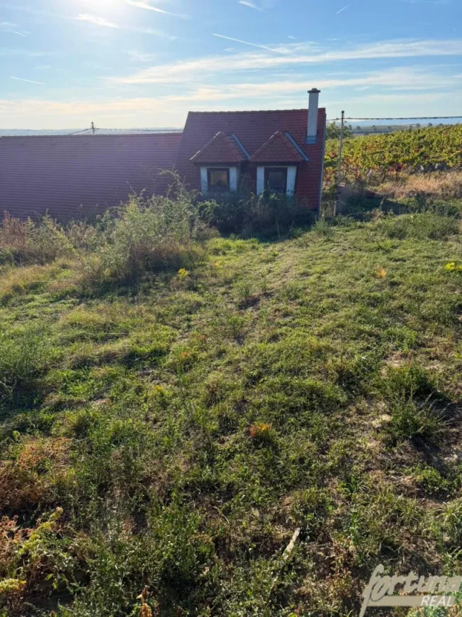 Weinkeller mit Garten und herrlicher Aussicht in Haugsdorf - Bild