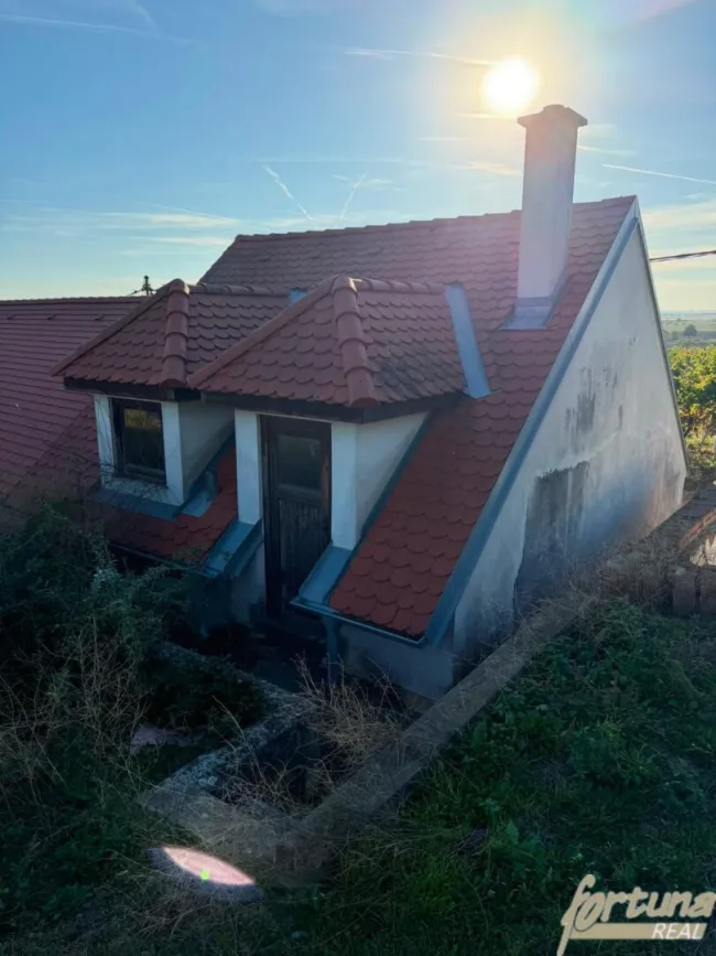 Weinkeller mit Garten und herrlicher Aussicht in Haugsdorf - Bild