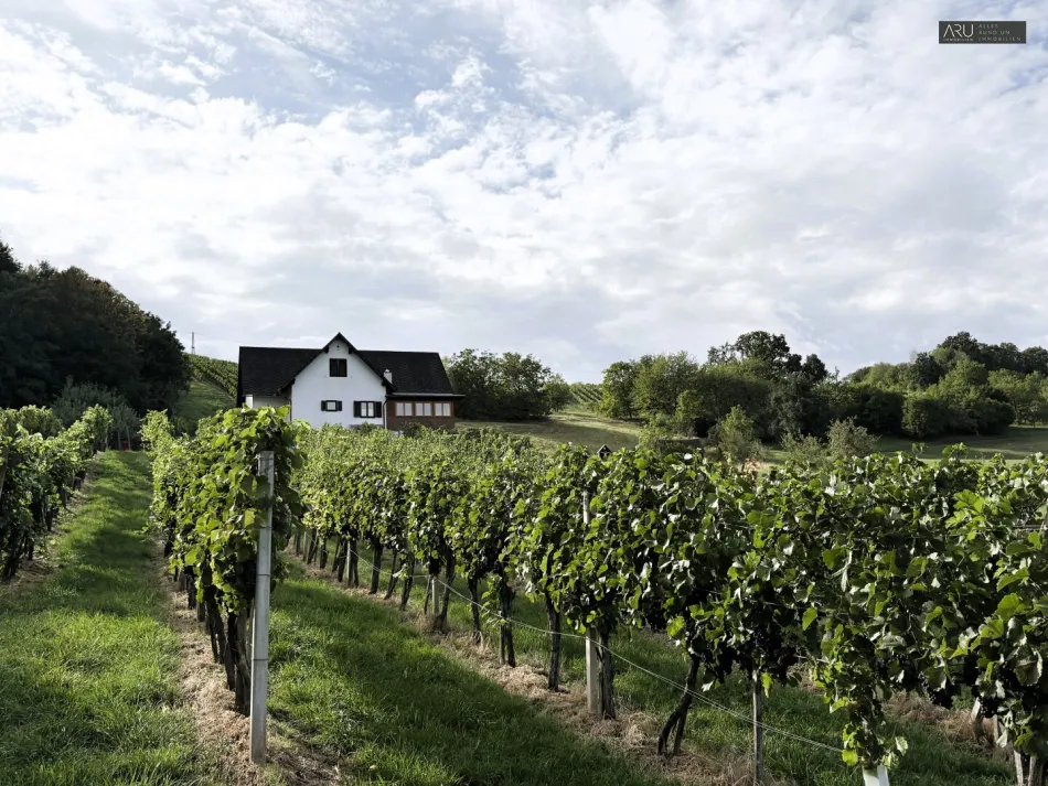 Einfamilienhaus in Fürstenfeld in idyllischer Alleinlage - Bild