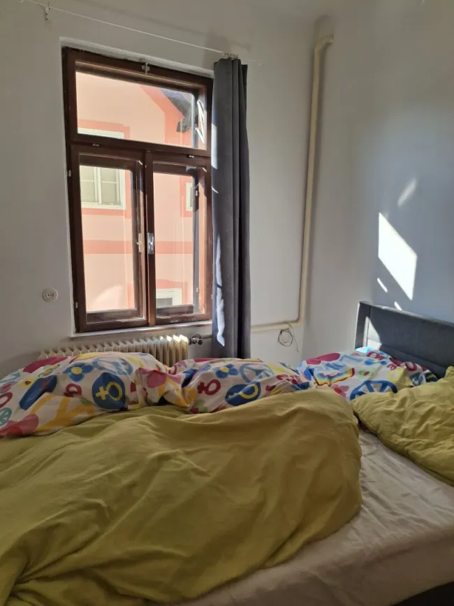 Unbefristete 5 Zimmerwohnung um nur Netto 699,--/ Monat - 5 Minuten zum Erlaufsee und 1Minute zum Skilift ! - Bild